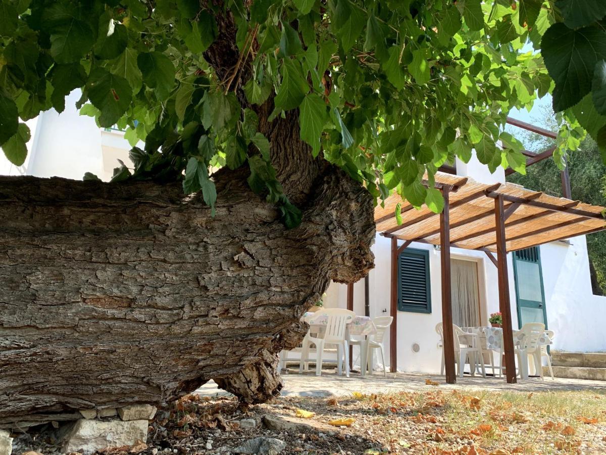 Casa Del Gelso Apartman San Menaio Kültér fotó